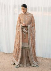 Pakistani Long Sleeve Dresses