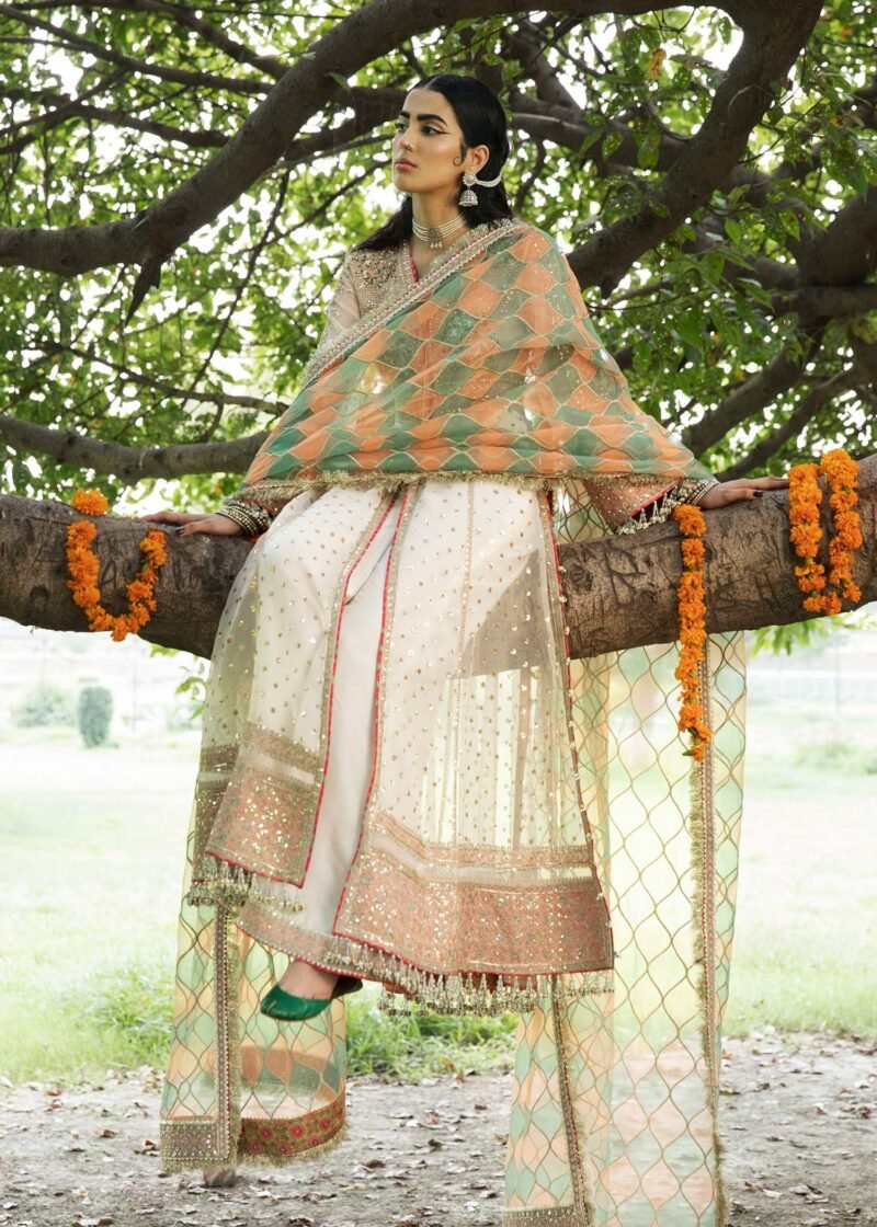 Diya by Hussain Rehar: Luxury Organza Peshwas & Silk Trousers - Image 2
