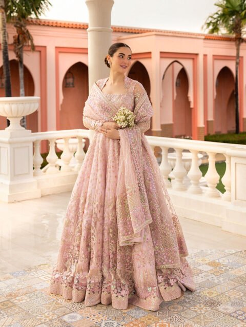 Ruzova – Embroidered Net Pishwas Ensemble