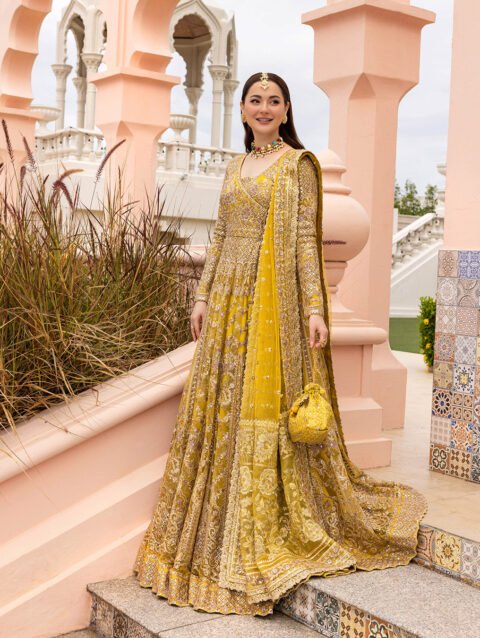 Melita – Embroidered Net Pishwas Ensemble