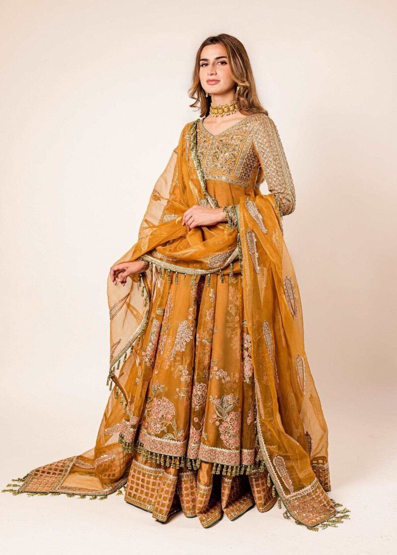 Sehar by Hussain Rehar – Embroidered Silk Pakistani Bridal Dress for Baraat & Nikkah in Red & Gold