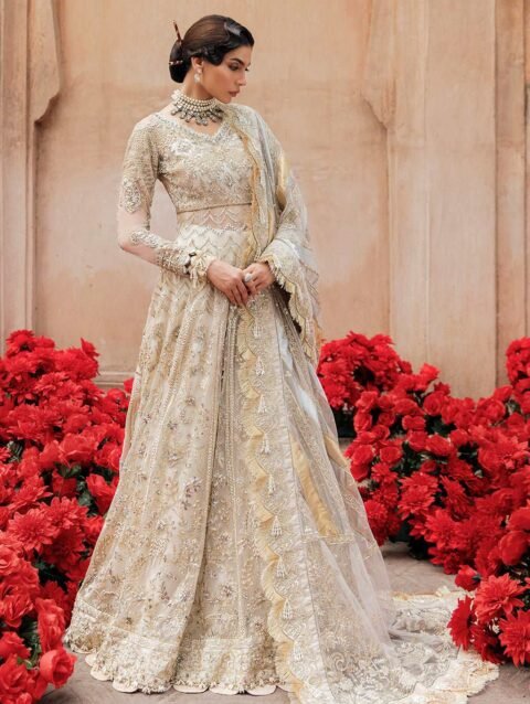 Mahru by Afrozeh – Luxury Embroidered Net Dress with Borders