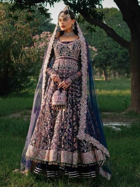 Navy Blue Organza Peshwas with Velvet Palazzo & Dupatta