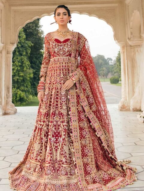 Mahjabeen by Afrozeh – Embroidered Net Dress with Silk Borders