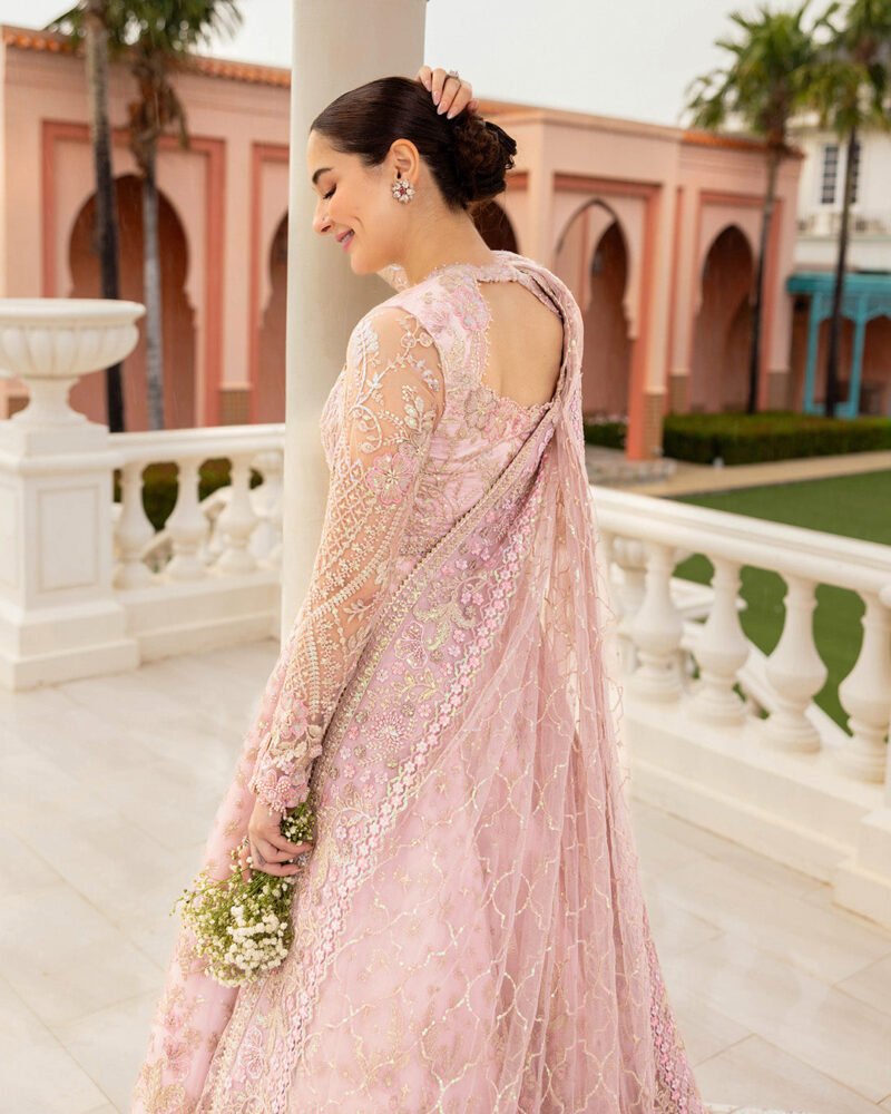 Ruzova – Embroidered Net Pishwas Ensemble - Image 6