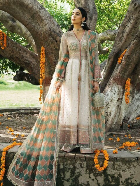 Diya by Hussain Rehar: Luxury Organza Peshwas & Silk Trousers