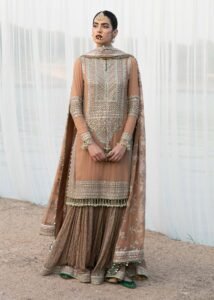 Aabroo by Hussain Rehar – Luxury Girls' Occasion Dress for Weddings & Parties