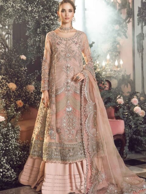 Pastel Pink Organza Silk Dress with Hand Embroidery