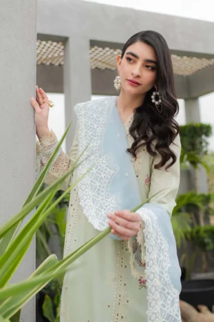 Qalamkar | QLINE lawn '24 | JK-04 ASTER