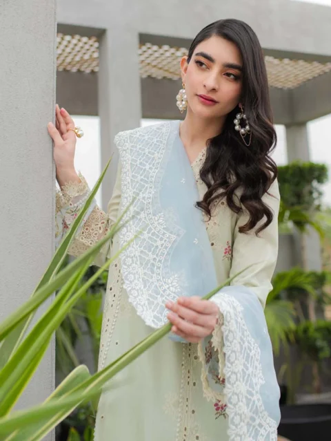 Qalamkar | QLINE lawn '24 | JK-04 ASTER