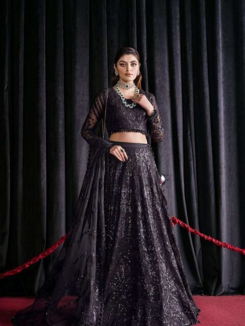 Black Swan by Afrozeh – Embroidered Chiffon Dress with Silk Trousers