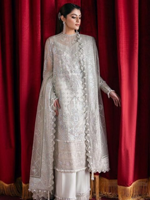 CHANTILLY by Afrozeh - Hand-Embroidered Net & Organza Dress