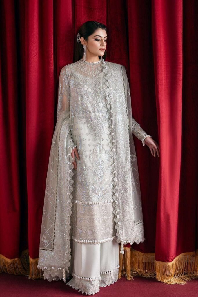 CHANTILLY by Afrozeh - Hand-Embroidered Net & Organza Dress