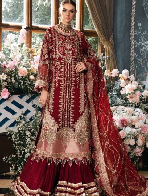 Embroidered Pakistani Dress with Raw Silk & Organza - Custom