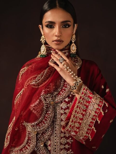 Mushk Divani Luxury Dress by Afrozeh – Custom Bridal Wear