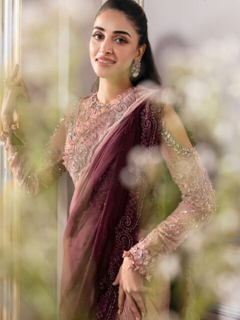 Unstitched Embroidered Chiffon Saree | BD-3001